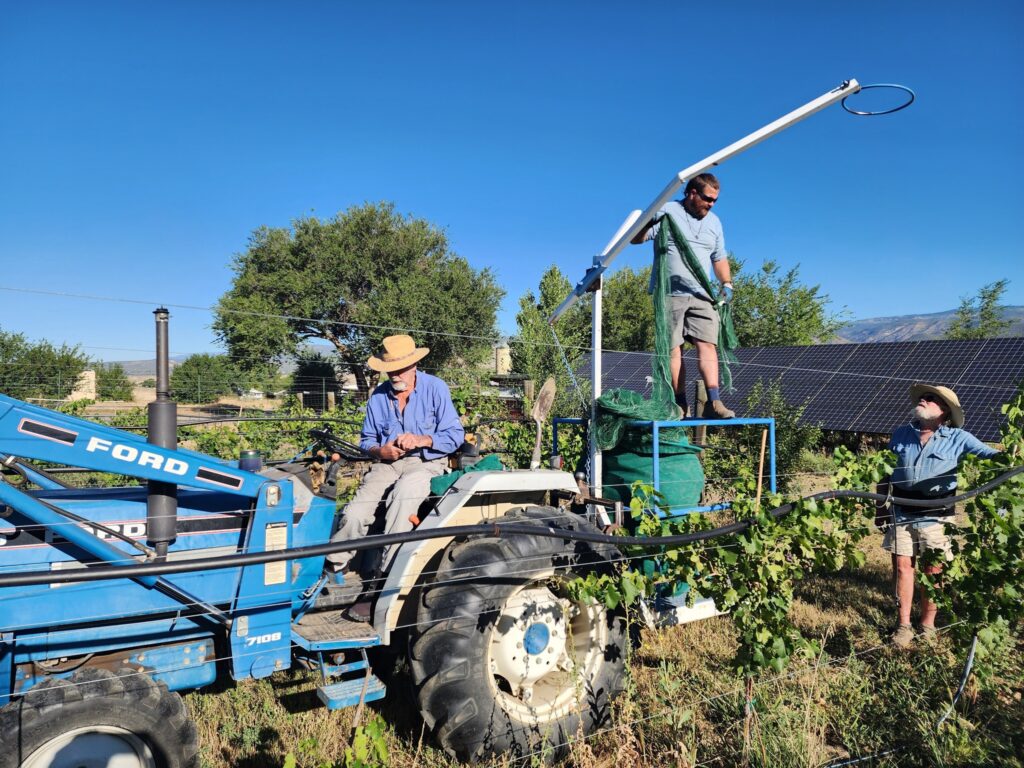 Alfred Eames Cellars, Paonia, Colorado, Working the Vines with tractor, farming equipment, wine makers and solar panels