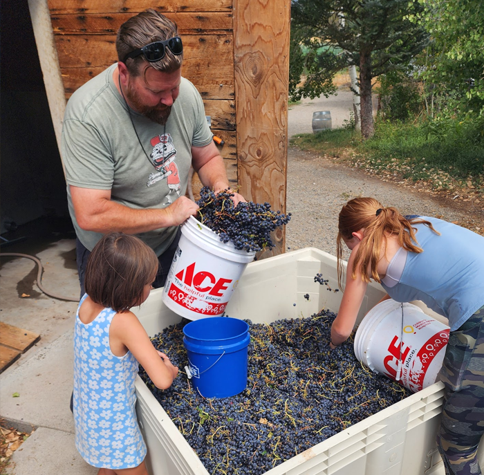 Alfred Eames Cellars, Paonia, Colorado family grape harvest