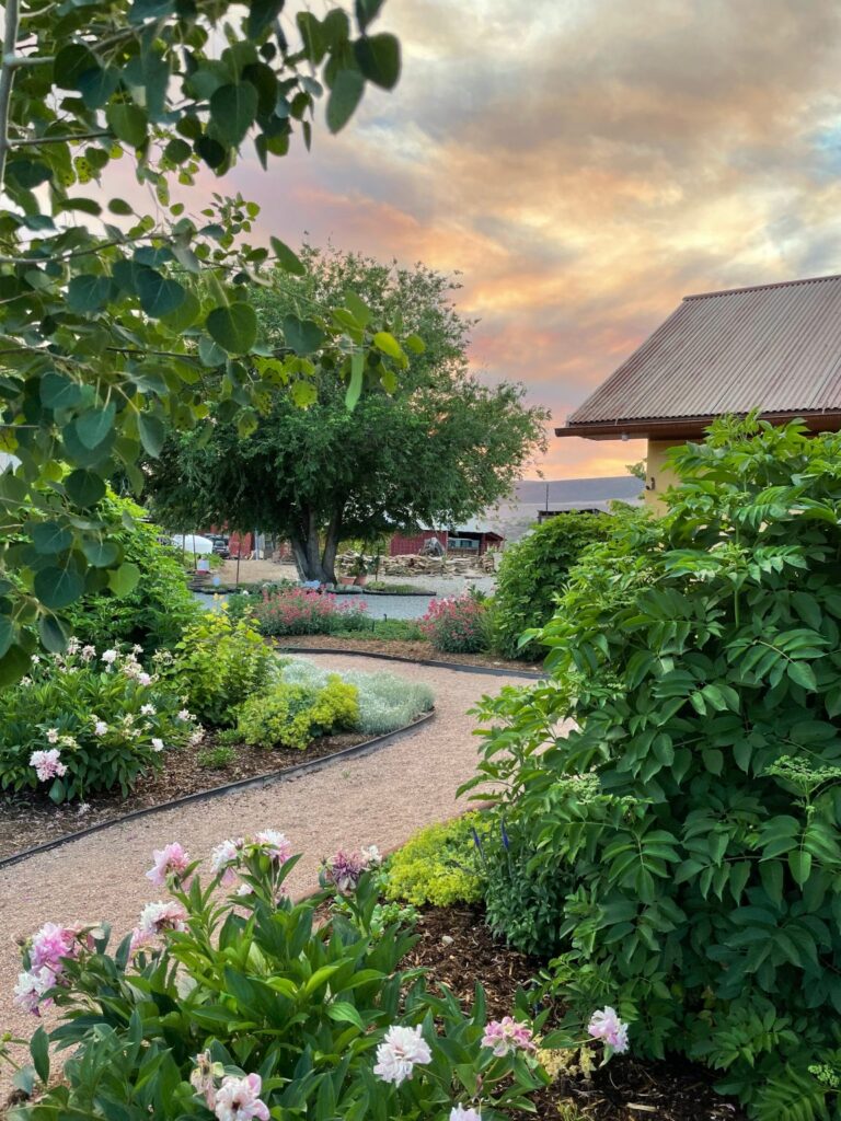 zenzen gardens alfred eames wine tasting paonia colorado